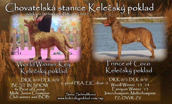 winče